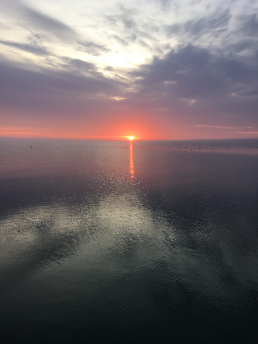 2nd Half Year Review 2017 (25 Essential&nbsp;Albums)