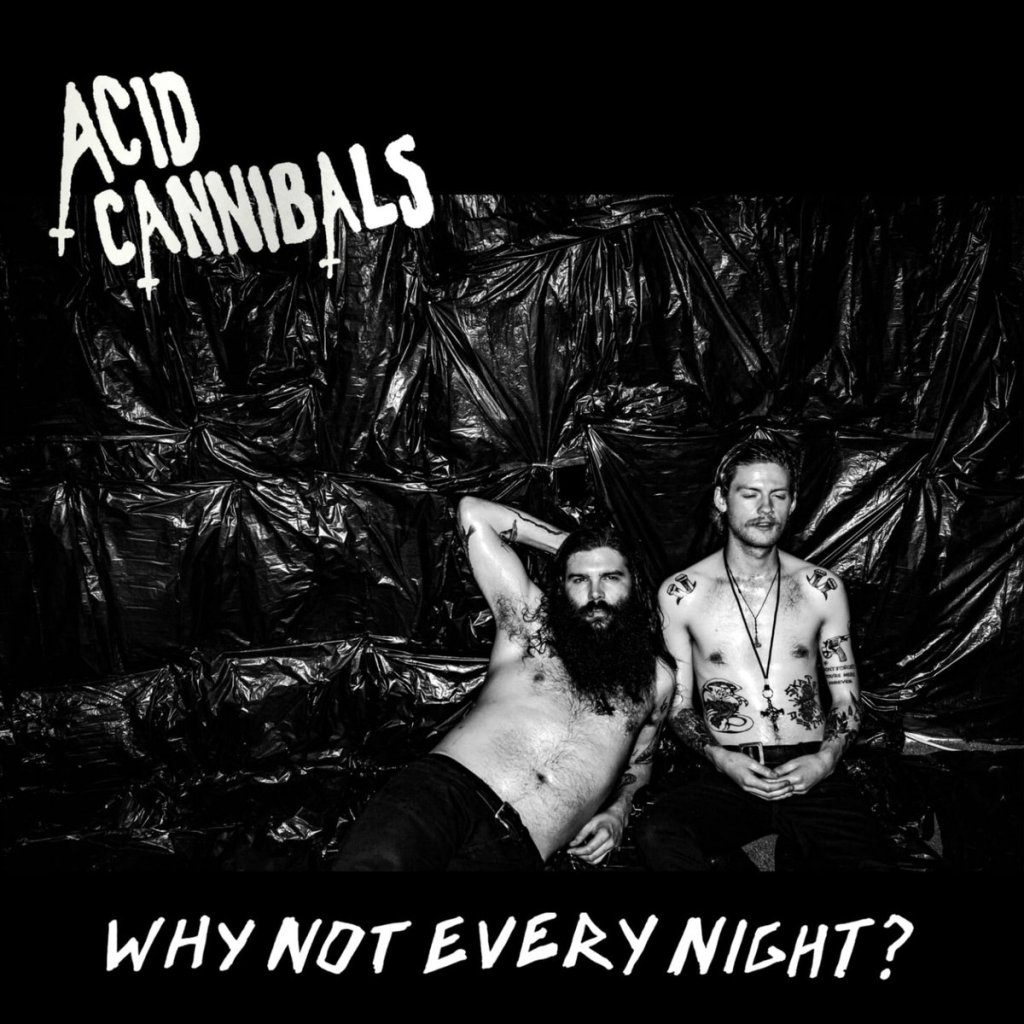 Review: Why Not Every Night by Acid&nbsp;Cannibals